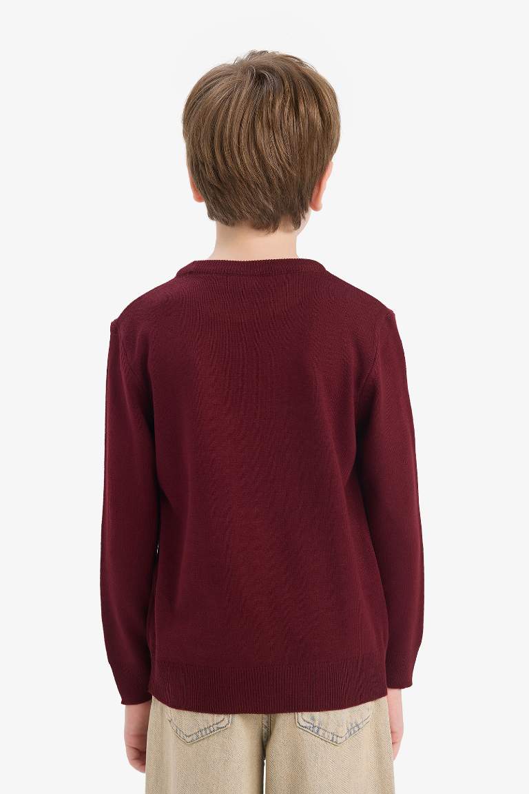 Boy Regular Fit Crew Neck Pullover