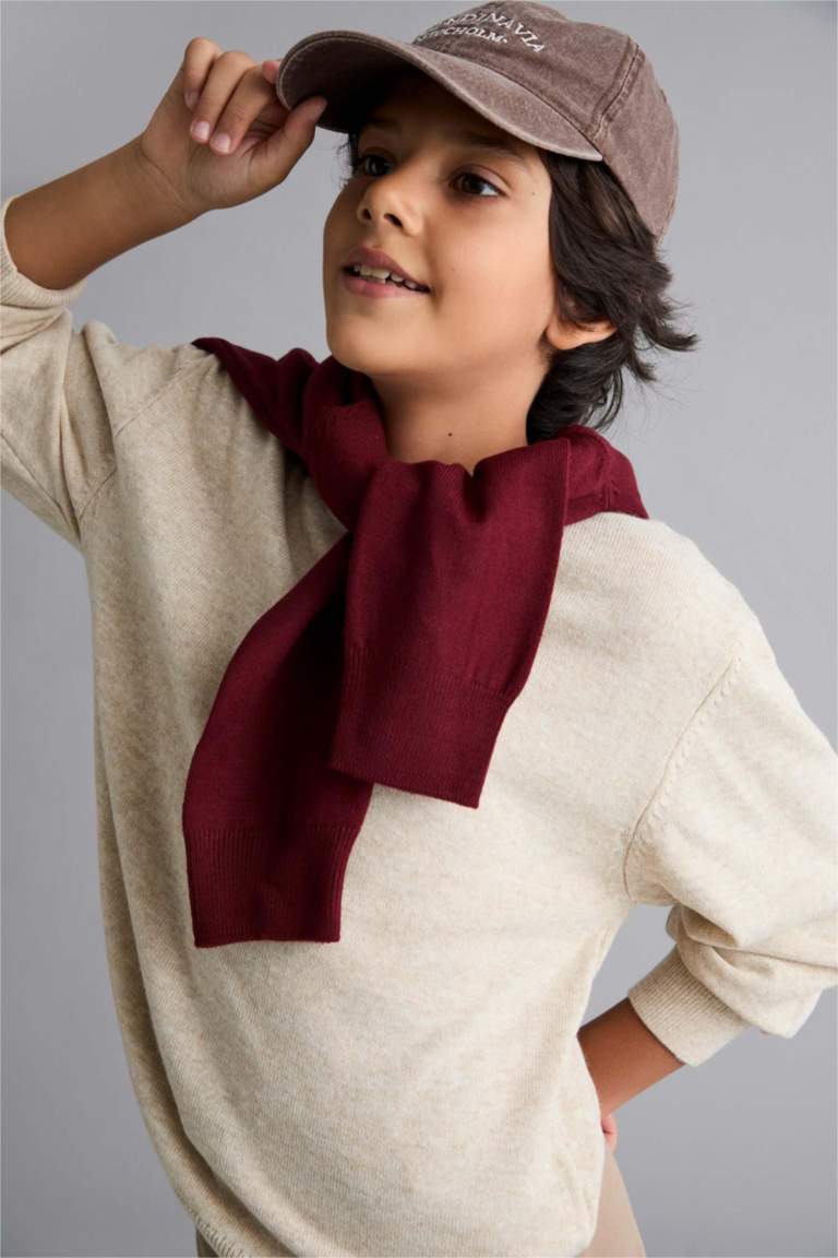 Boy Regular Fit Crew Neck Pullover