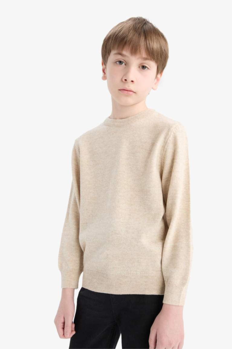 Boy Regular Fit Crew Neck Pullover