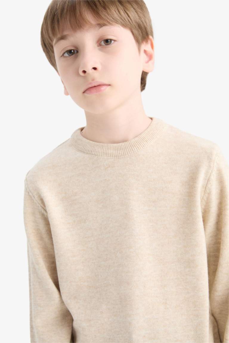 Boy Regular Fit Crew Neck Pullover