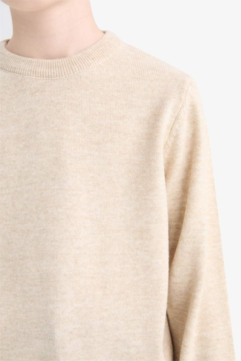 Boy Regular Fit Crew Neck Pullover