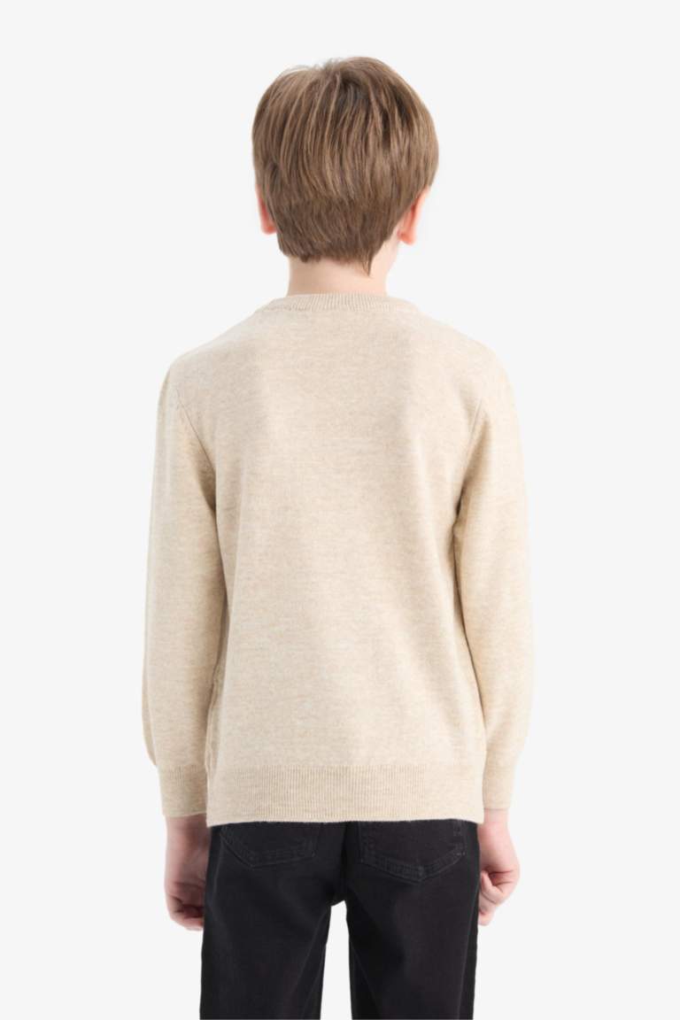 Boy Regular Fit Crew Neck Pullover