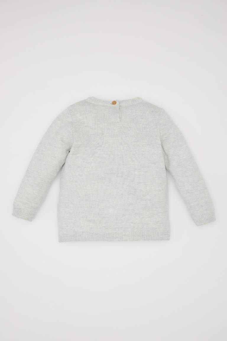 Baby Boy Crew Neck Basic Knitted Pullover