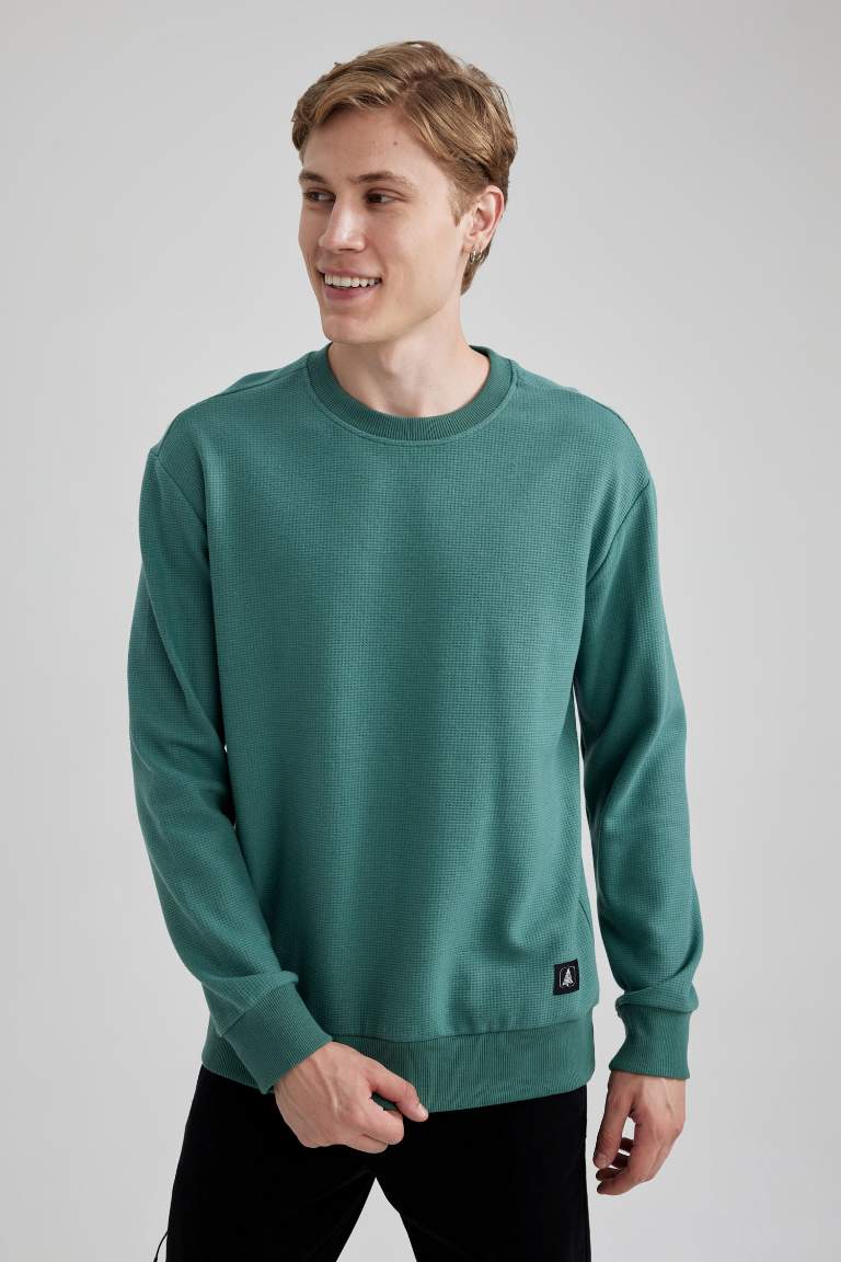 Regular Fit Crew Neck Waffle Sweatshirt