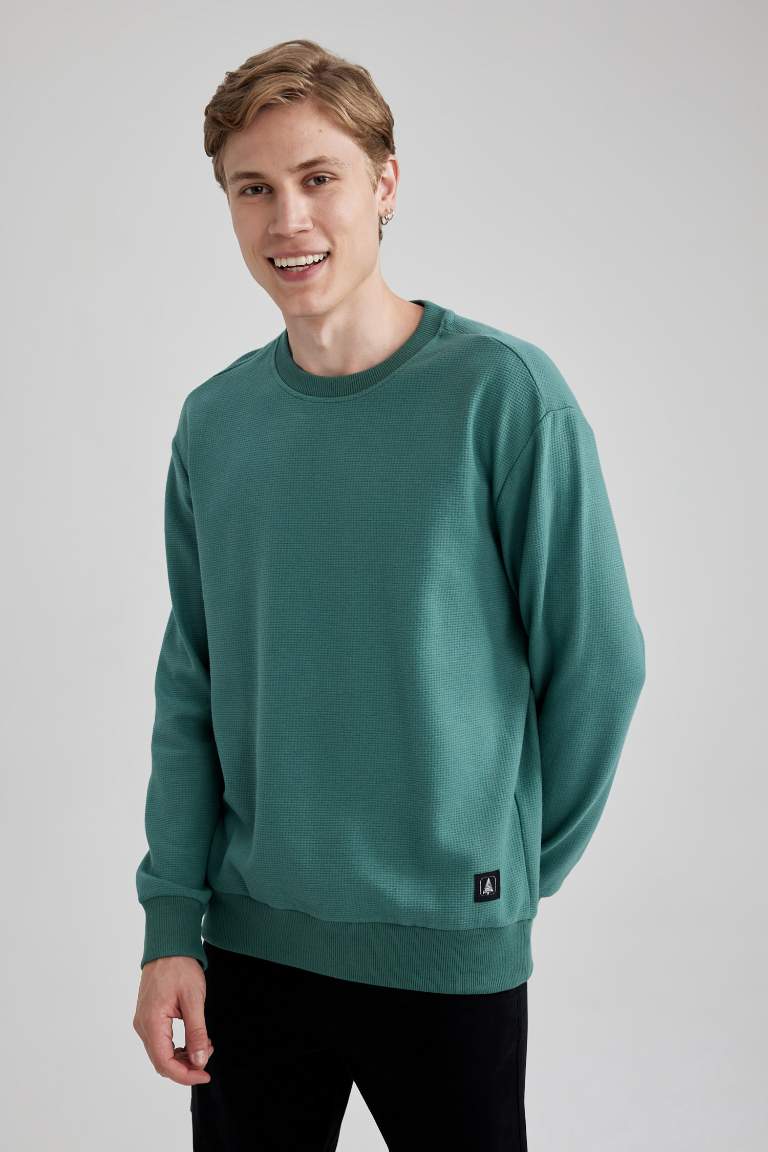 Regular Fit Crew Neck Waffle Sweatshirt
