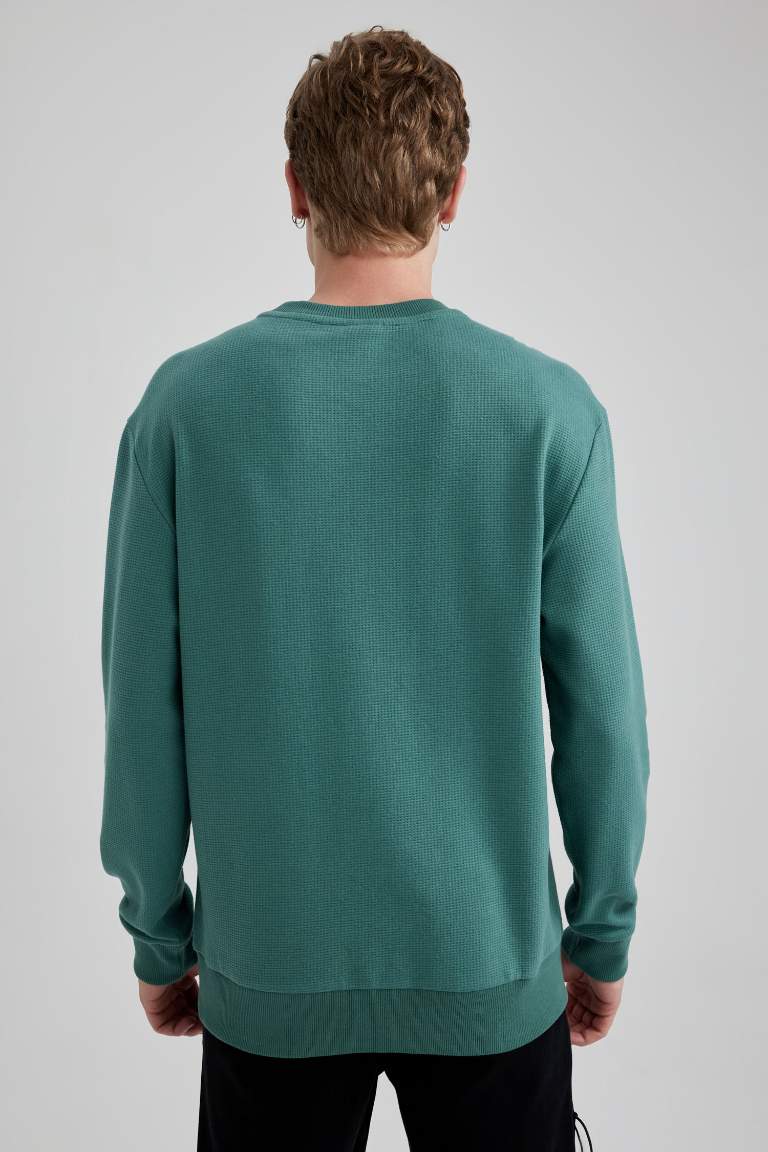 Regular Fit Crew Neck Waffle Sweatshirt