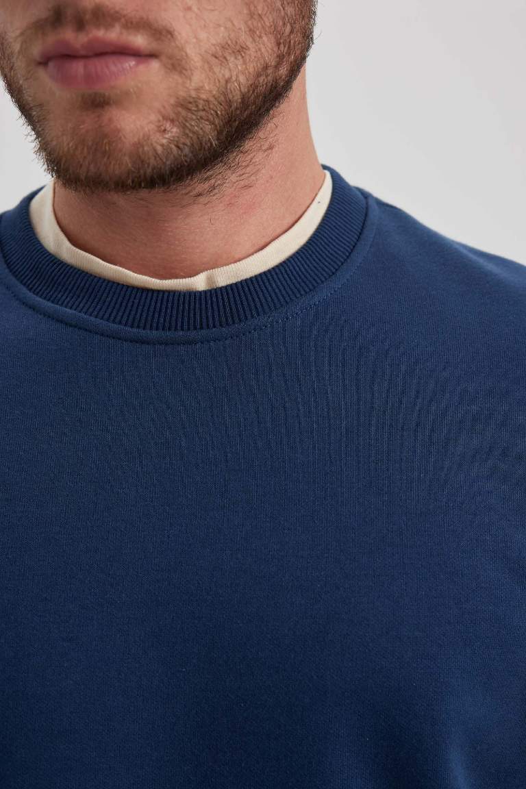 Regular Fit Crew Neck Cotton Basic Sweatshirt