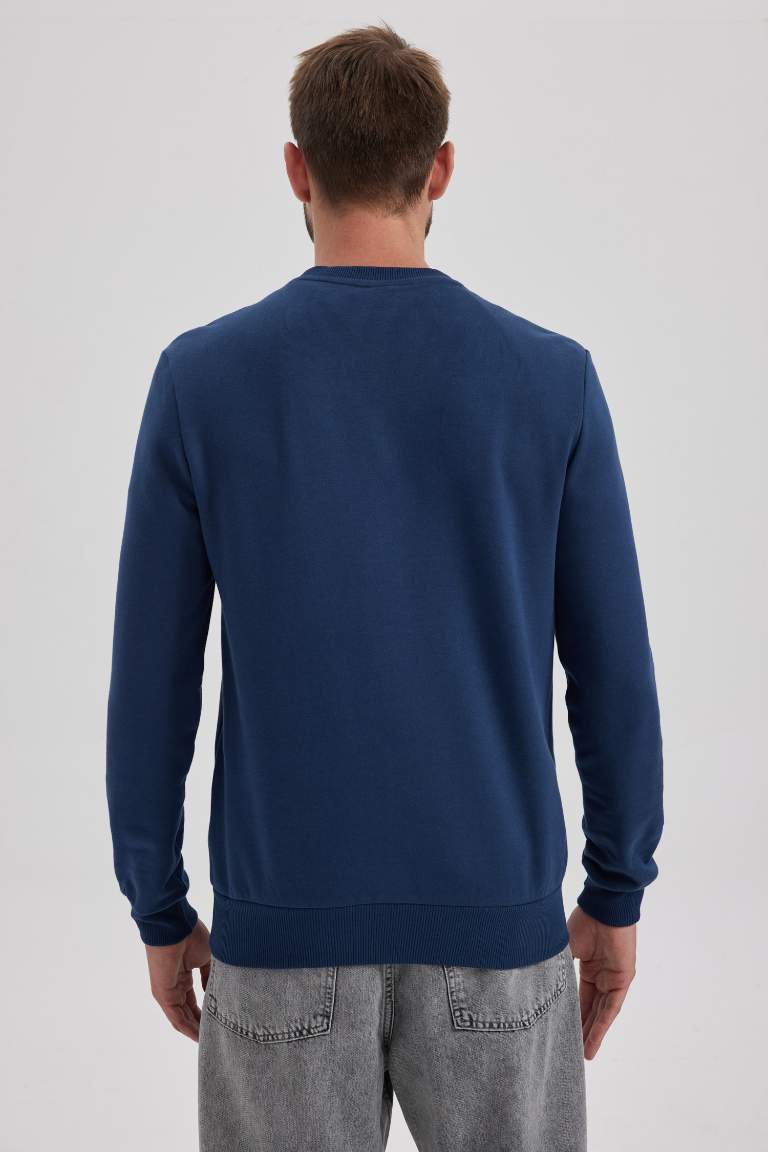 Regular Fit Crew Neck Cotton Basic Sweatshirt
