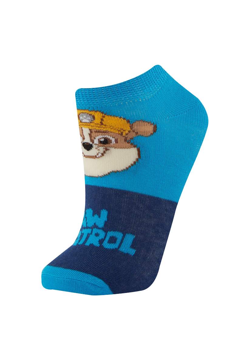 Boy Printed PAW Patrol Licensed 3 piece Short Socks