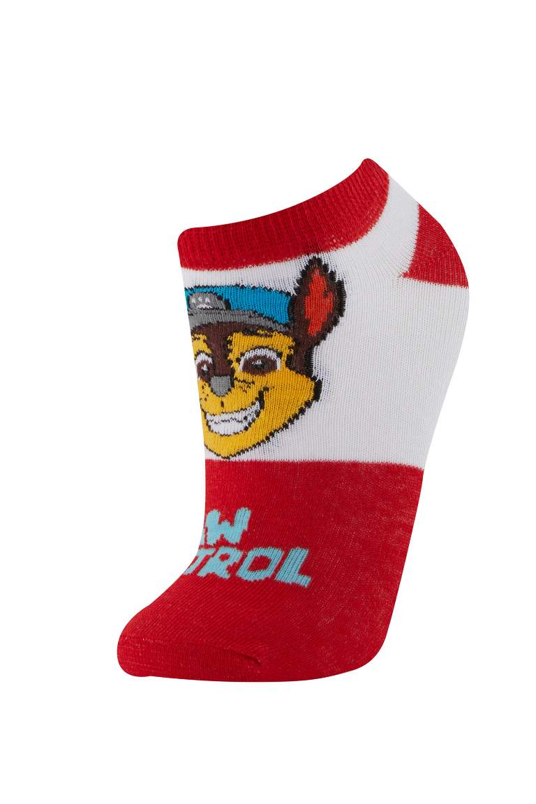 Boy Printed PAW Patrol Licensed 3 piece Short Socks