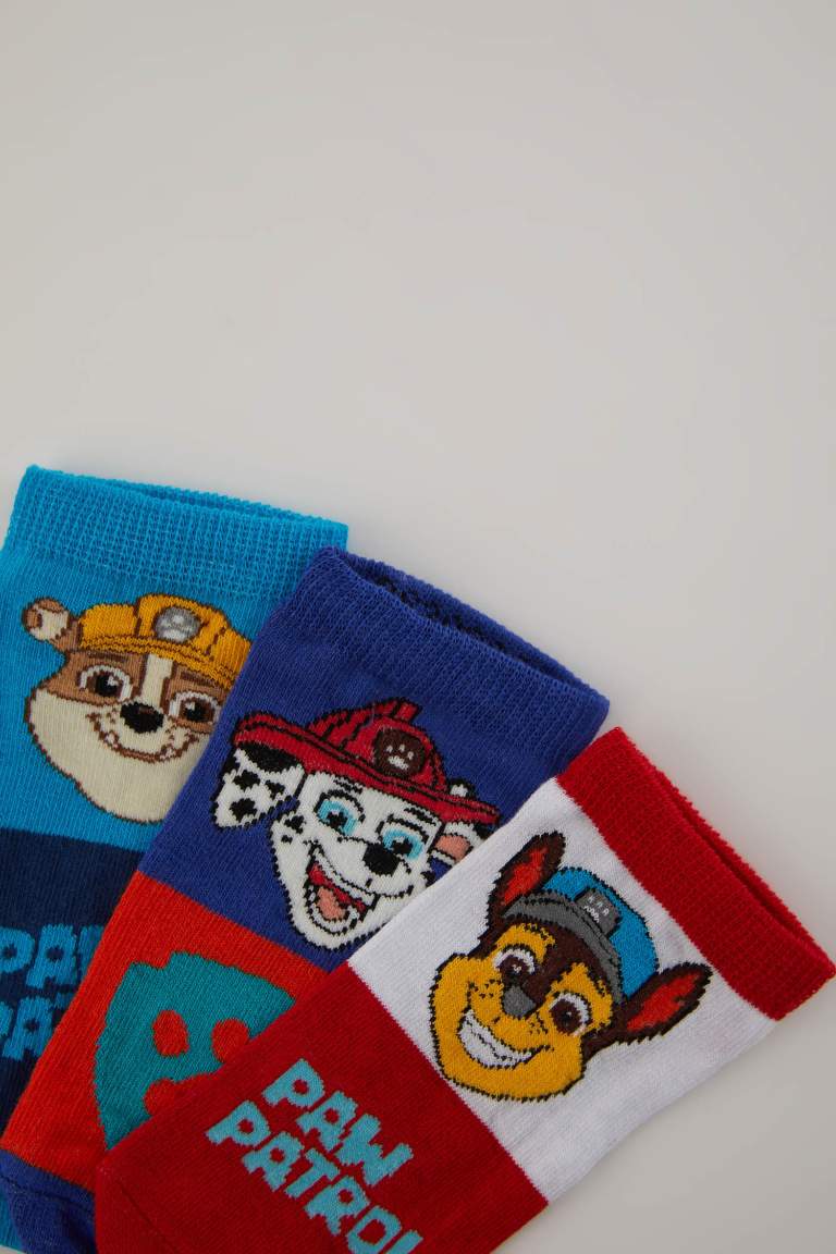 Boy Printed PAW Patrol Licensed 3 piece Short Socks