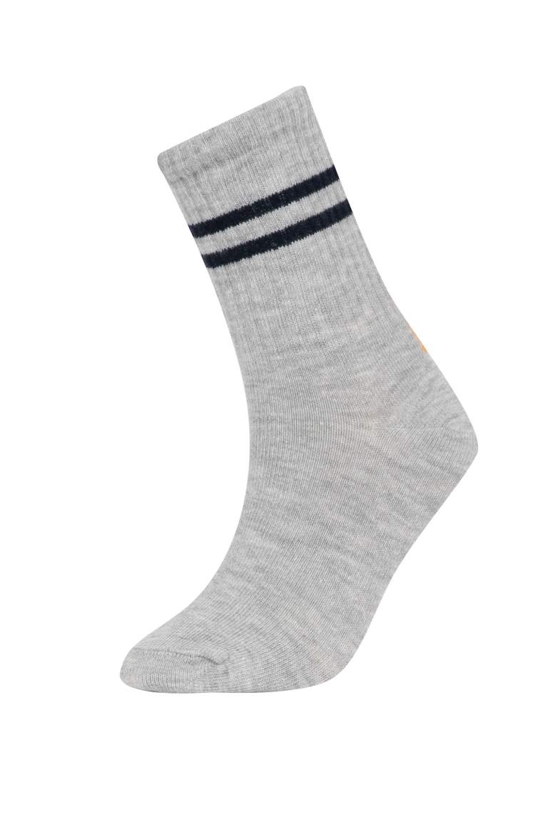 Boy 5 Piece Long Socks