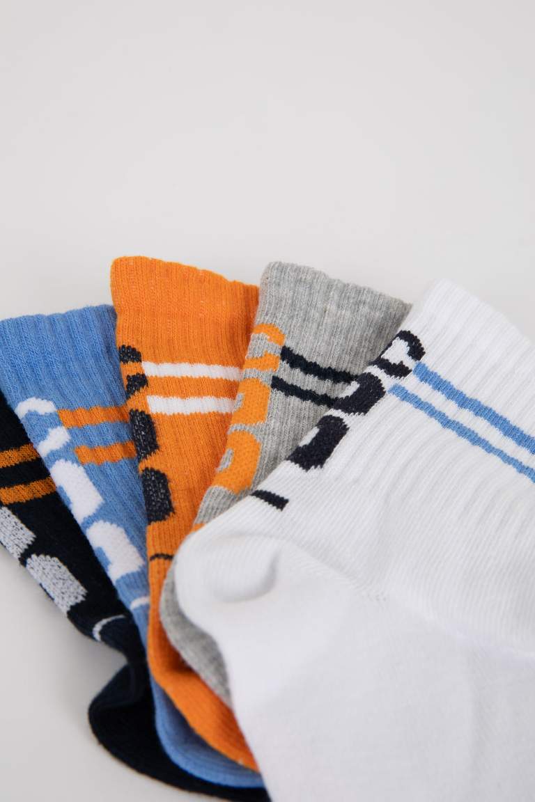 Boy 5 Piece Long Socks