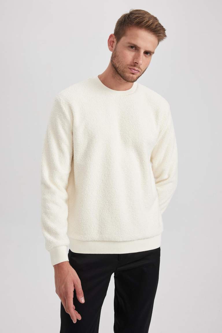 Regular Fit Long Sleeve Sweatshirt