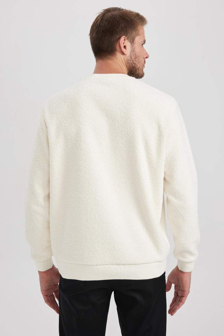 Regular Fit Long Sleeve Sweatshirt