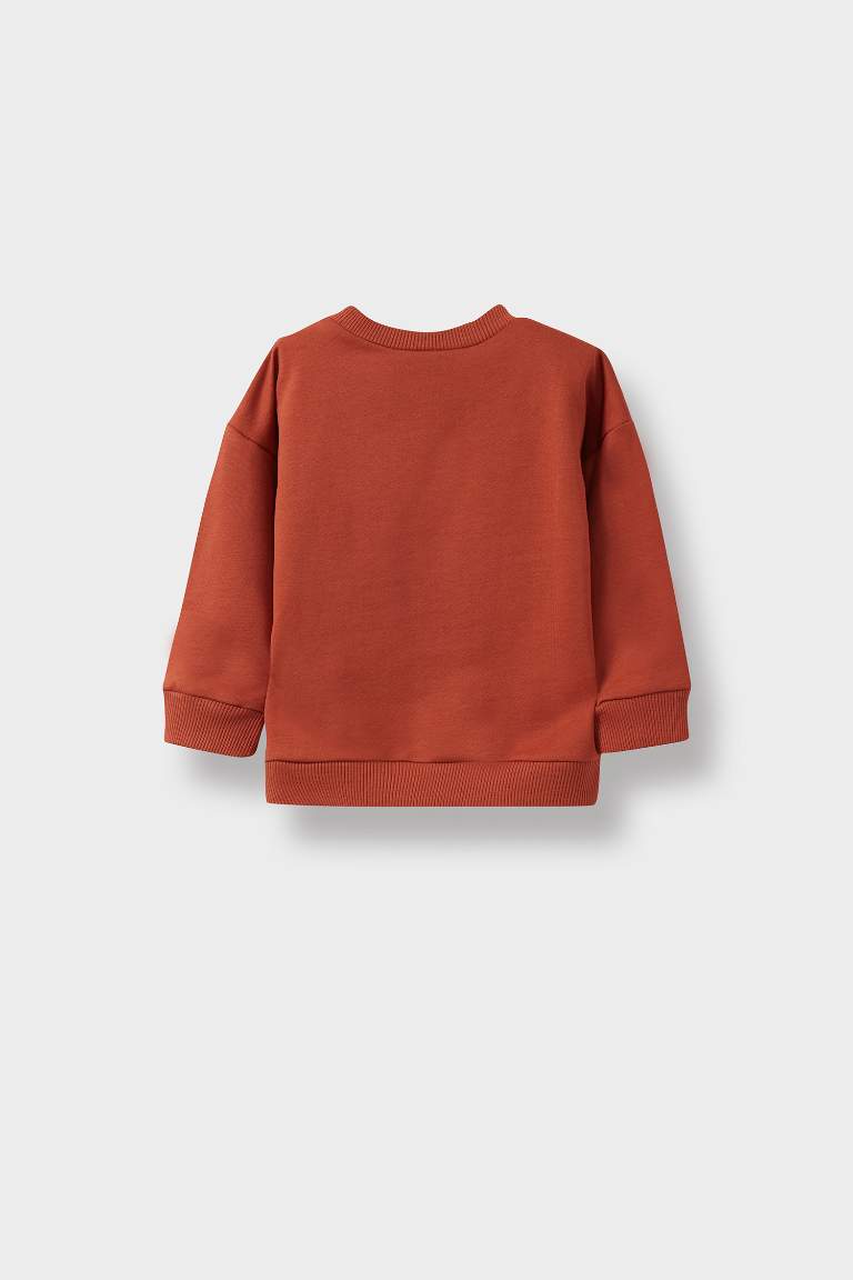 Erkek Bebek Bisiklet Yaka Basic Düz Sweatshirt