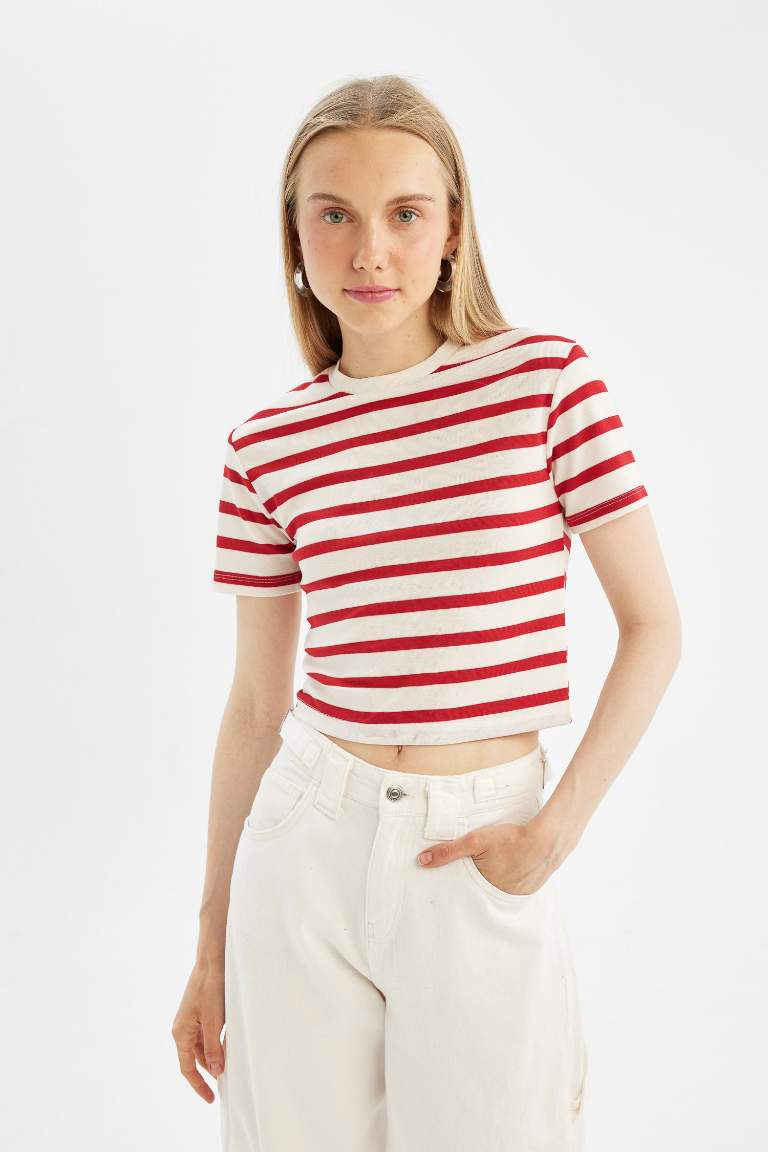 Fitted Striped Ribbed Short Sleeve T-Shirt