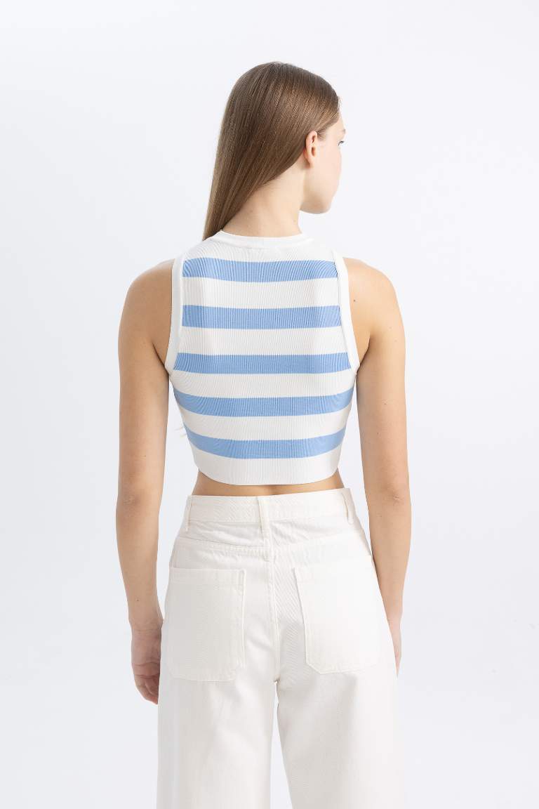 Slim Fit Crew Neck Striped Crop Top