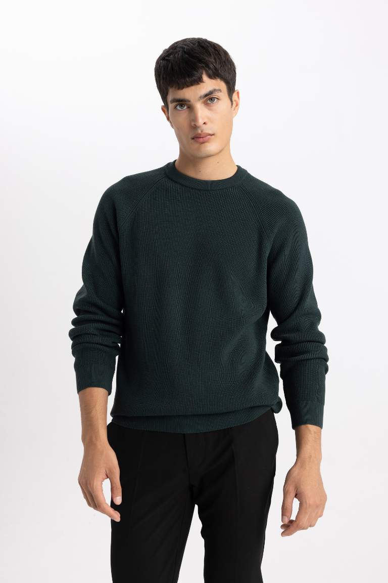 Standard Fit Crew Neck Basic Knitted Pullover