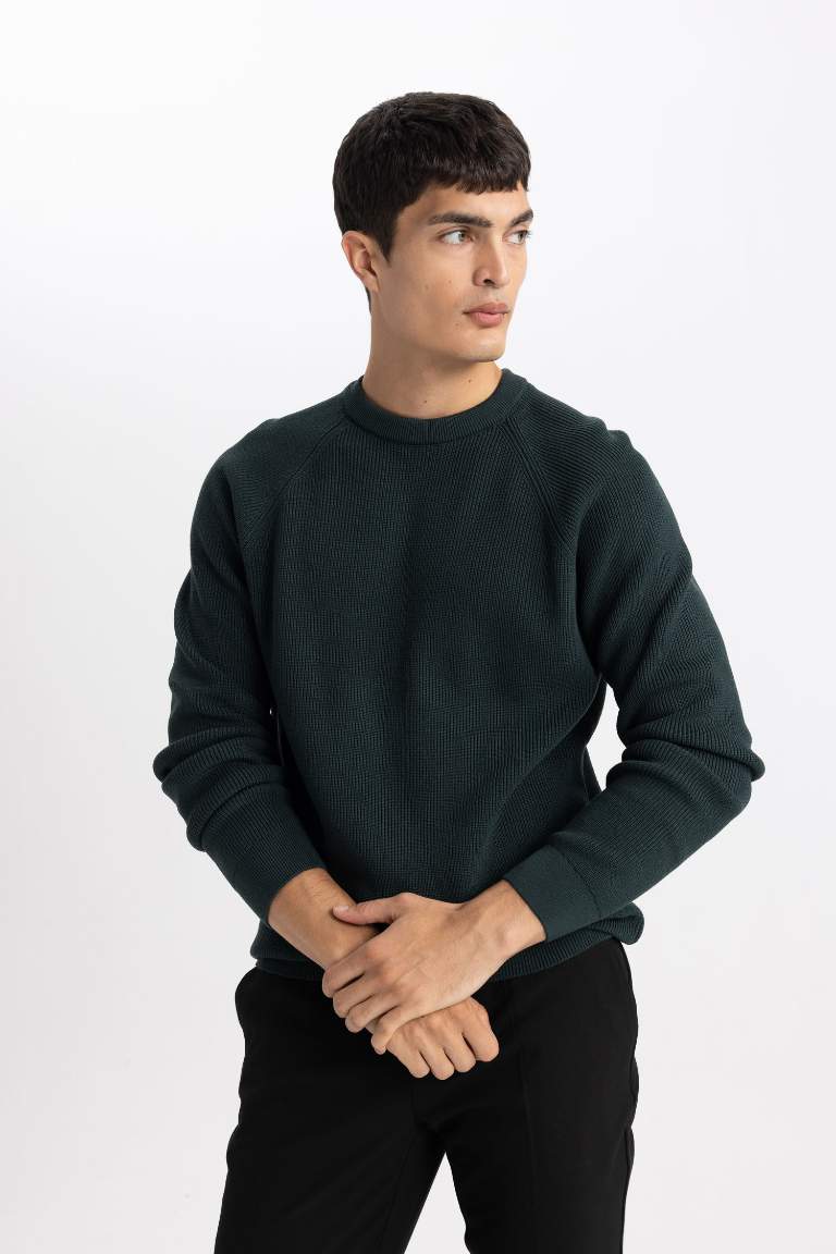 Standard Fit Crew Neck Basic Knitted Pullover