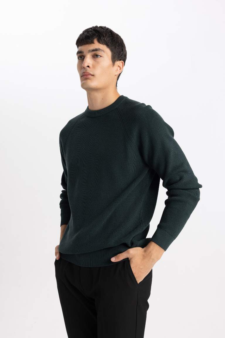 Standard Fit Crew Neck Basic Knitted Pullover