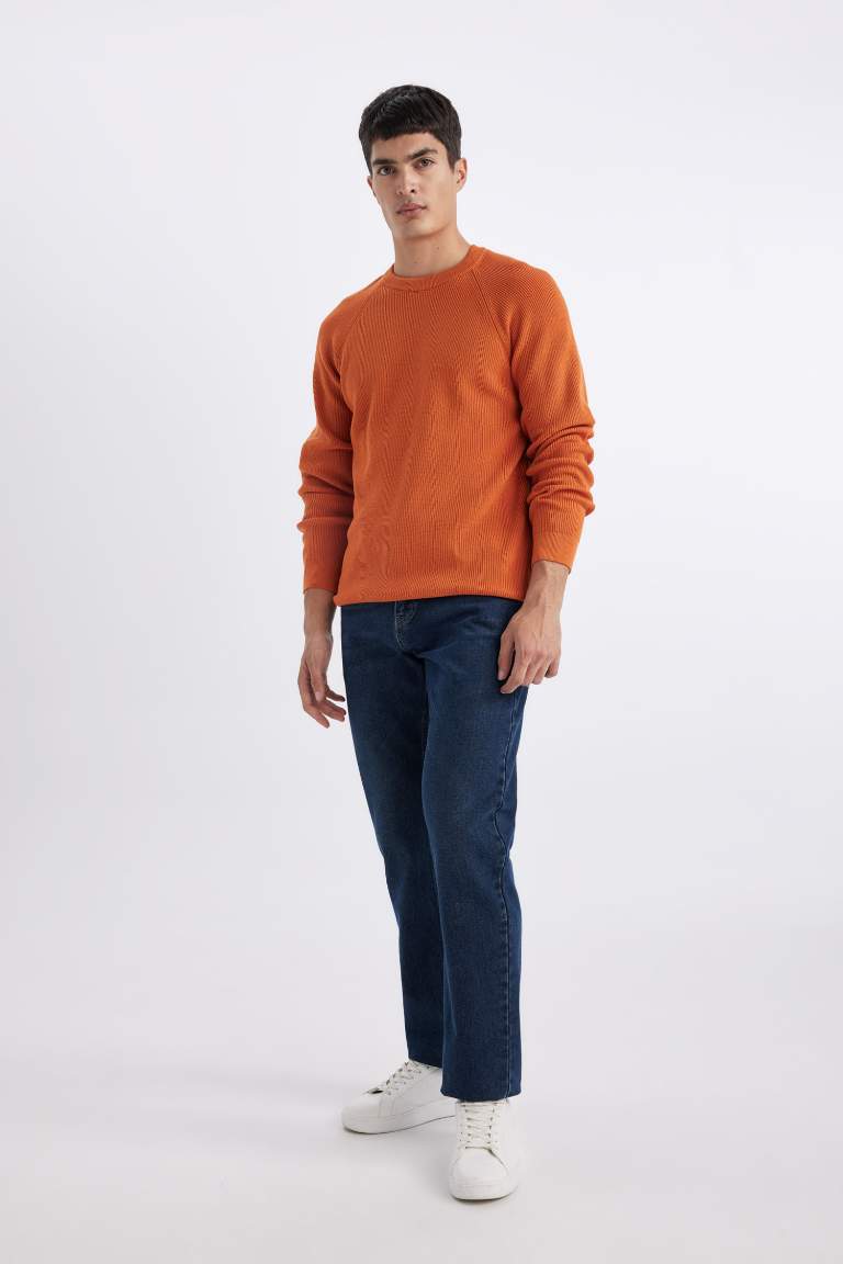 Standard Fit Crew Neck Basic Knitted Pullover