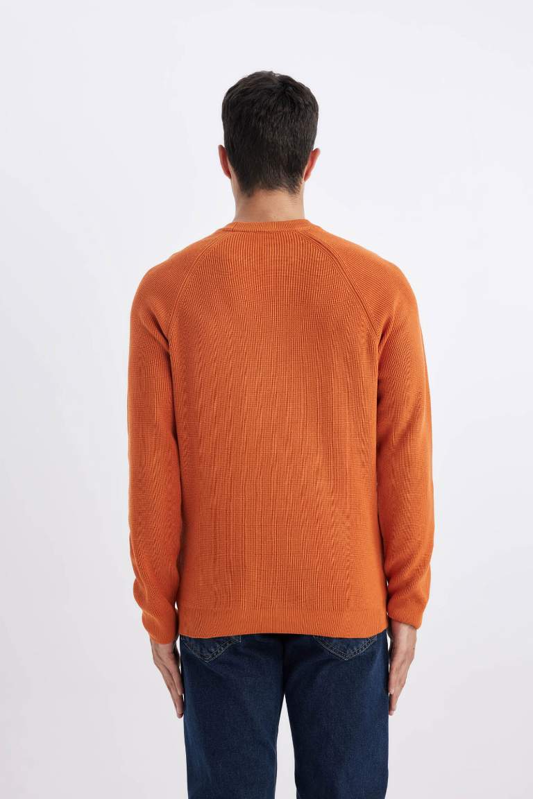 Standard Fit Crew Neck Basic Knitted Pullover