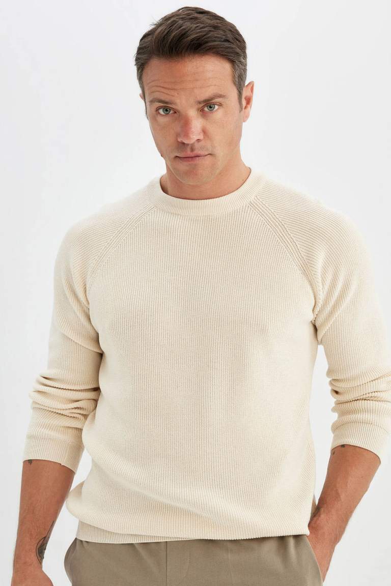 Standard Fit Crew Neck Basic Knitted Pullover