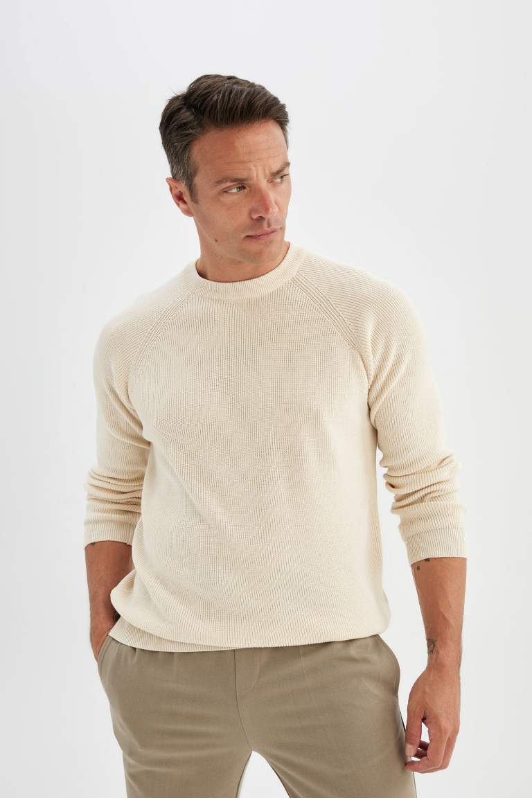 Standard Fit Crew Neck Basic Knitted Pullover