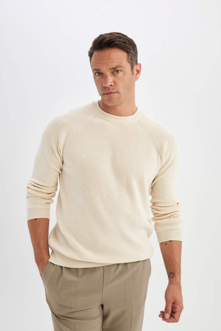 Standard Fit Crew Neck Basic Knitted Pullover