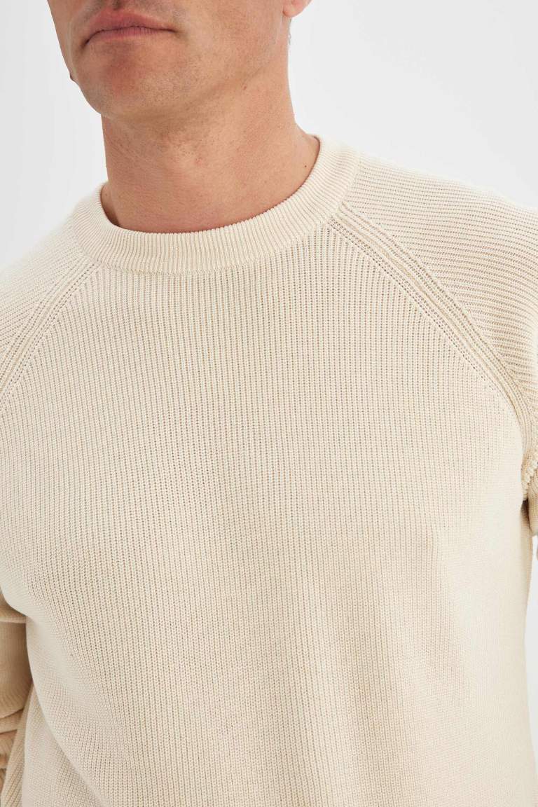 Standard Fit Crew Neck Basic Knitted Pullover