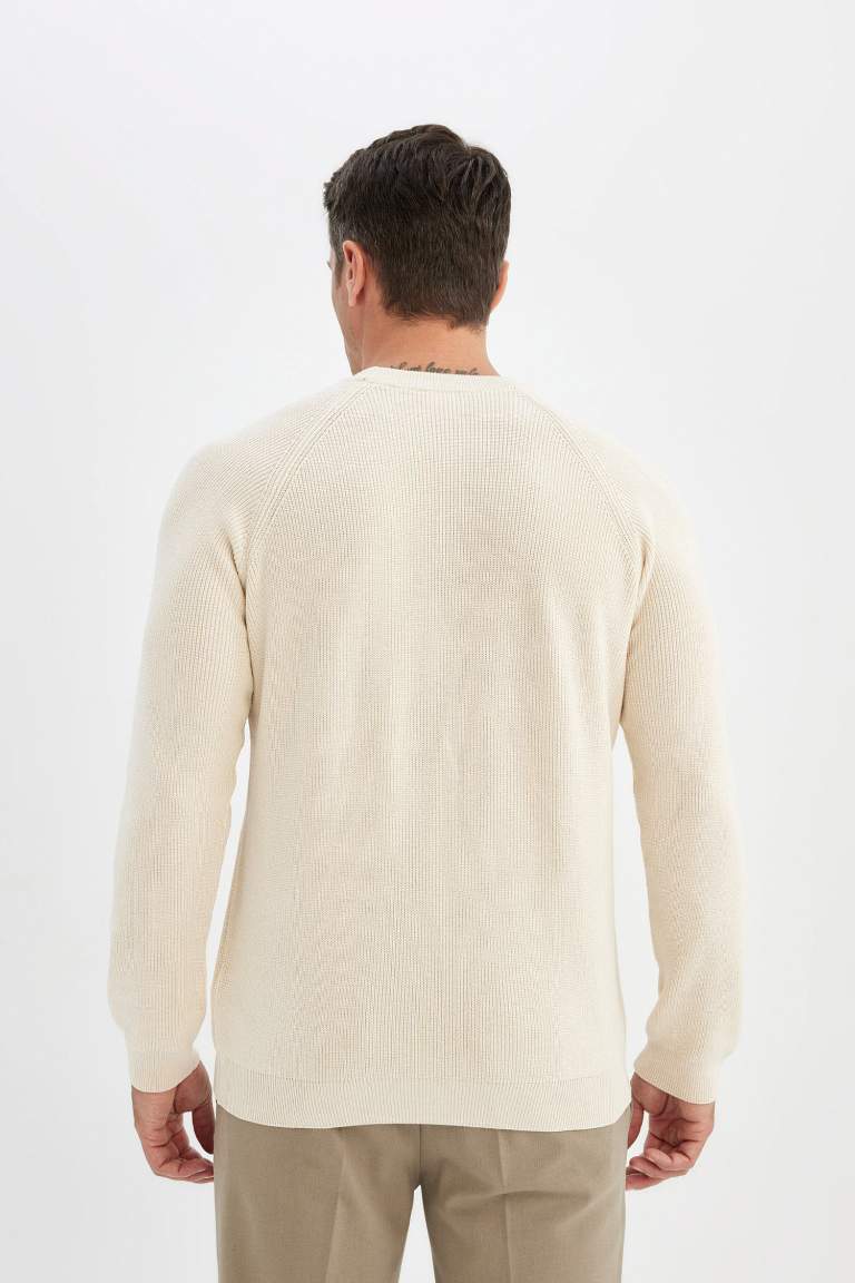 Standard Fit Crew Neck Basic Knitted Pullover