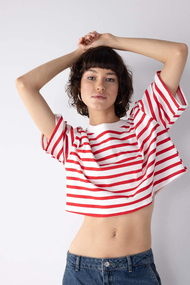 Slim Fit Striped Short Sleeve T-Shirt