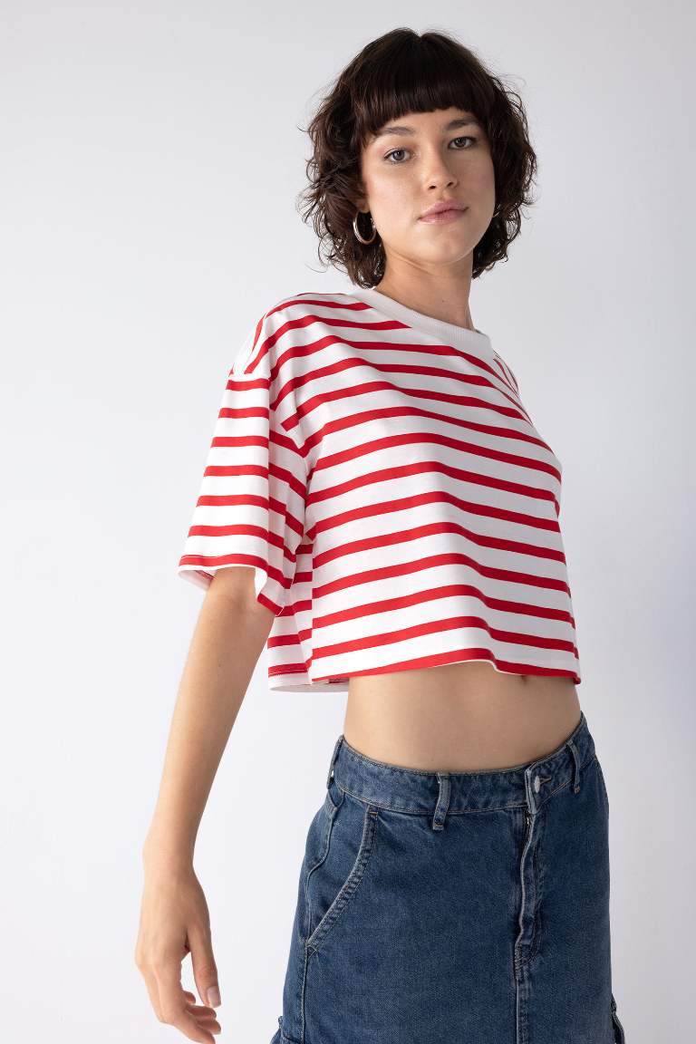 Slim Fit Striped Short Sleeve T-Shirt