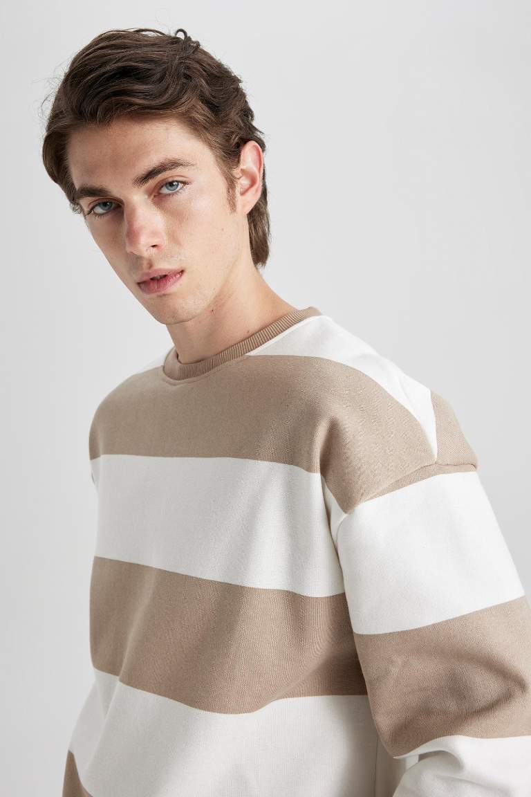 Boxy Fit Bisiklet Yaka Çizgili Dokuma Etiketli Sweatshirt