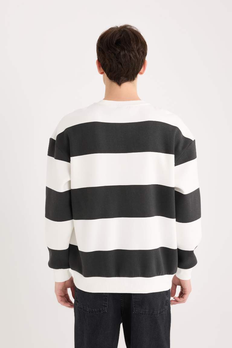 Boxy Fit Crew Neck Striped Woven Label Sweatshirt