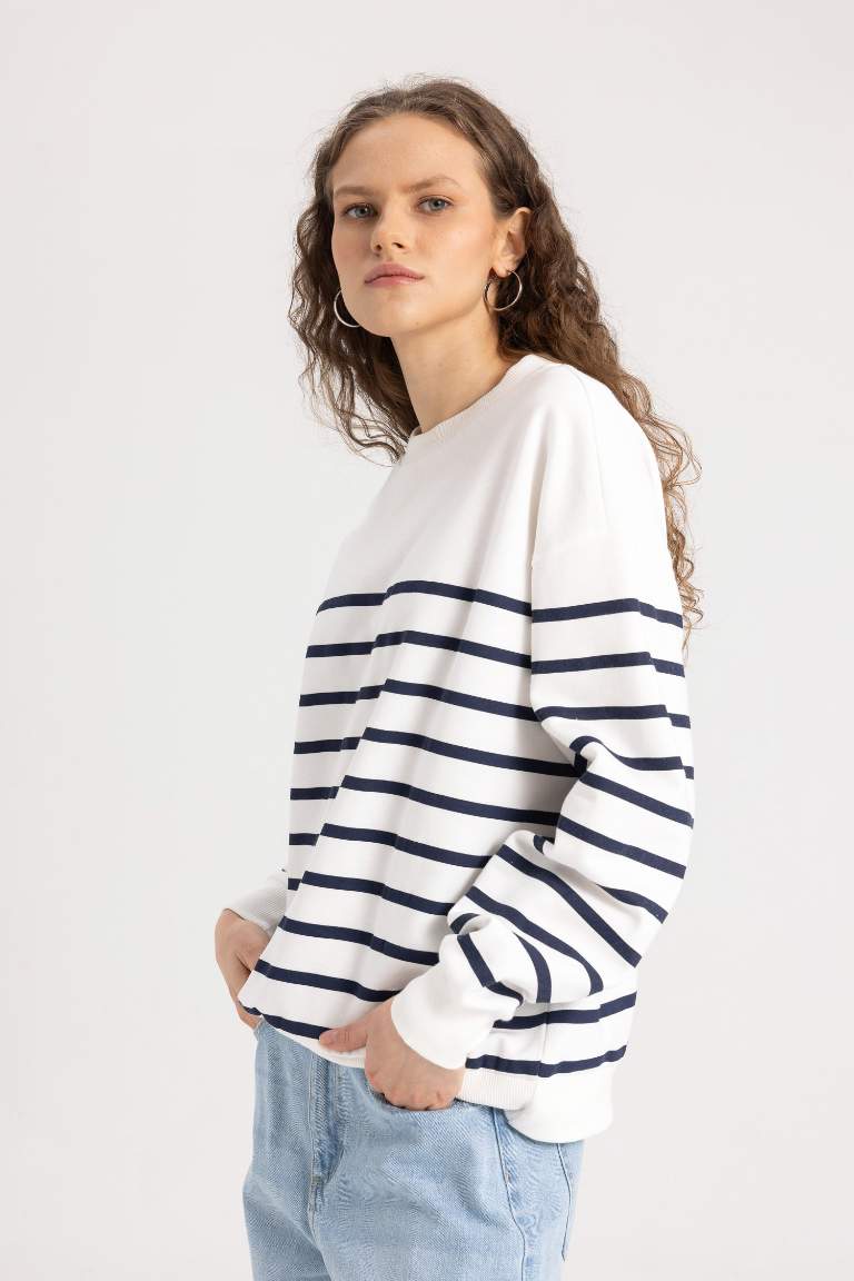 Relax Fit Crew Neck Striped Thin Sweatshirt