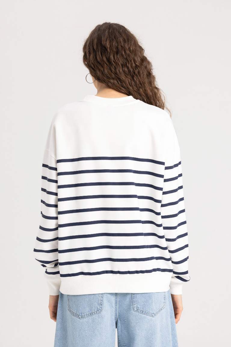 Relax Fit Crew Neck Striped Thin Sweatshirt