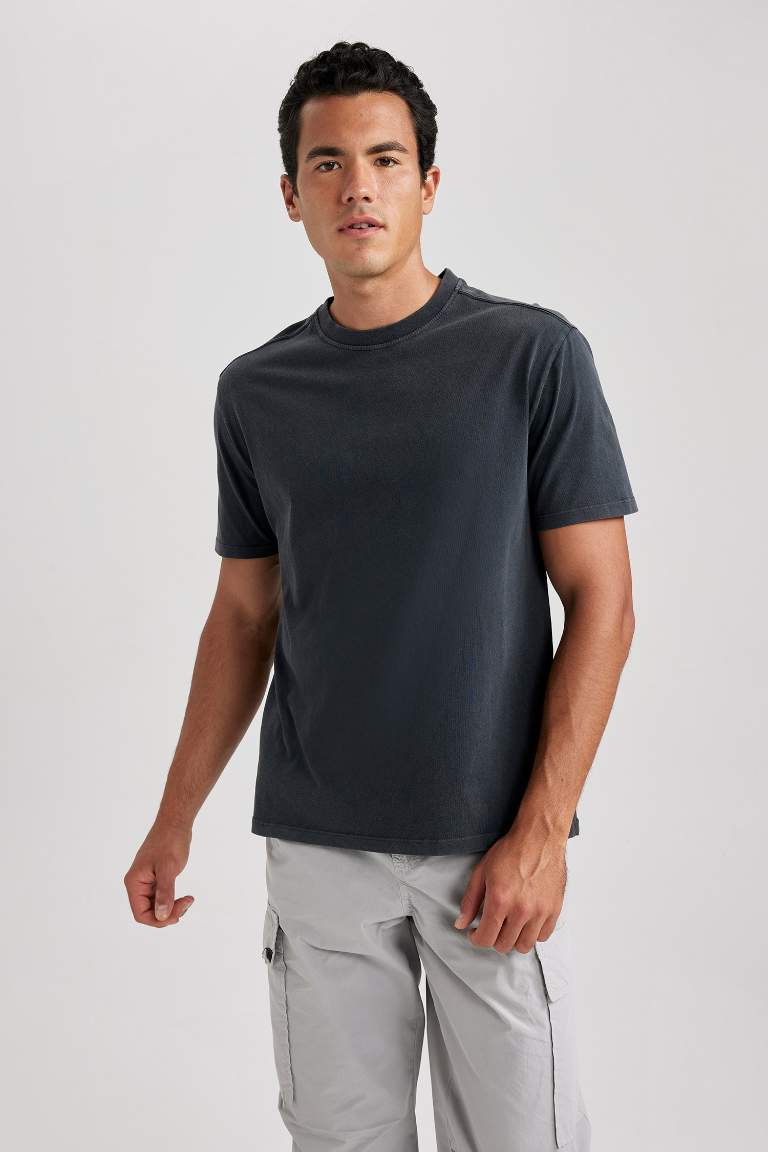 Regular Fit Crew Neck T-Shirt