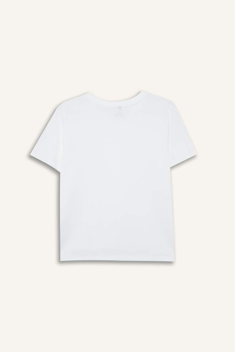Regular Fit Bisiklet Yaka Basic Düz Premium Kısa Kollu Tişört