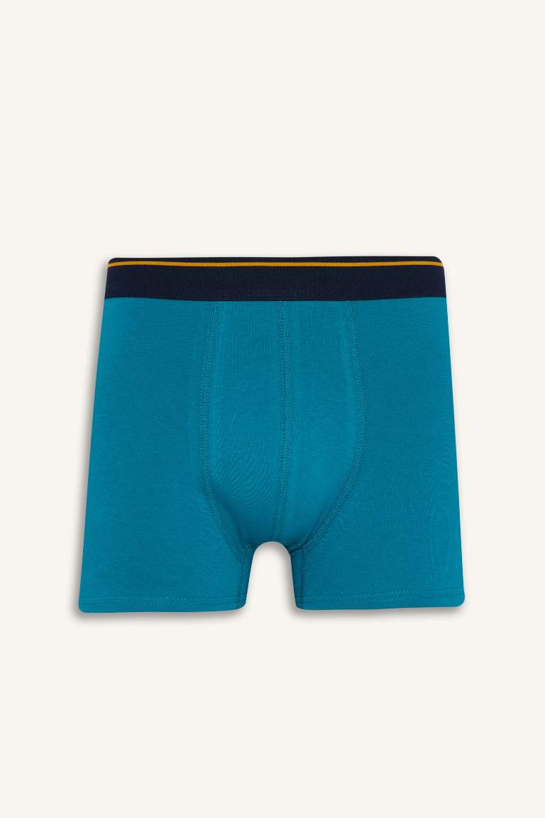 Regular Fit Baskılı 3'lü Boxer