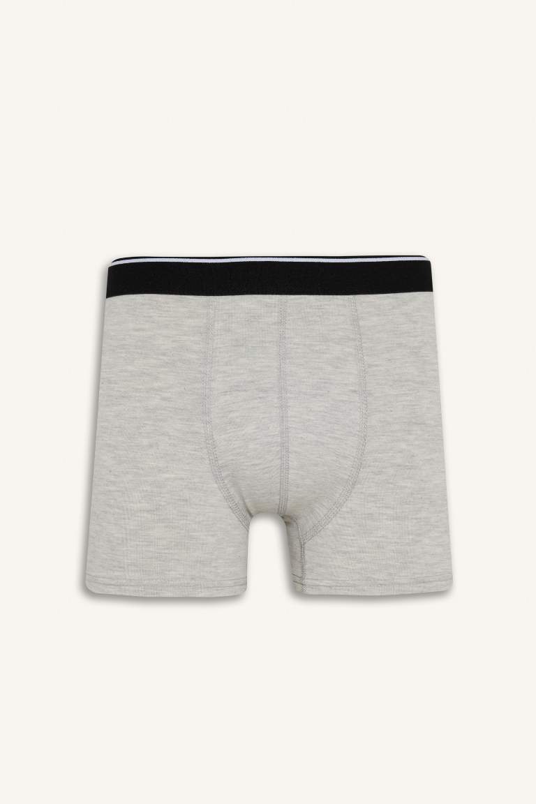 Regular Fit Baskılı 3'lü Boxer