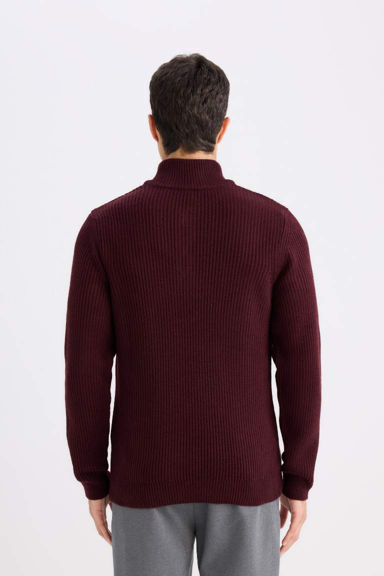 Standard Fit Turtleneck Knitwear Pullover