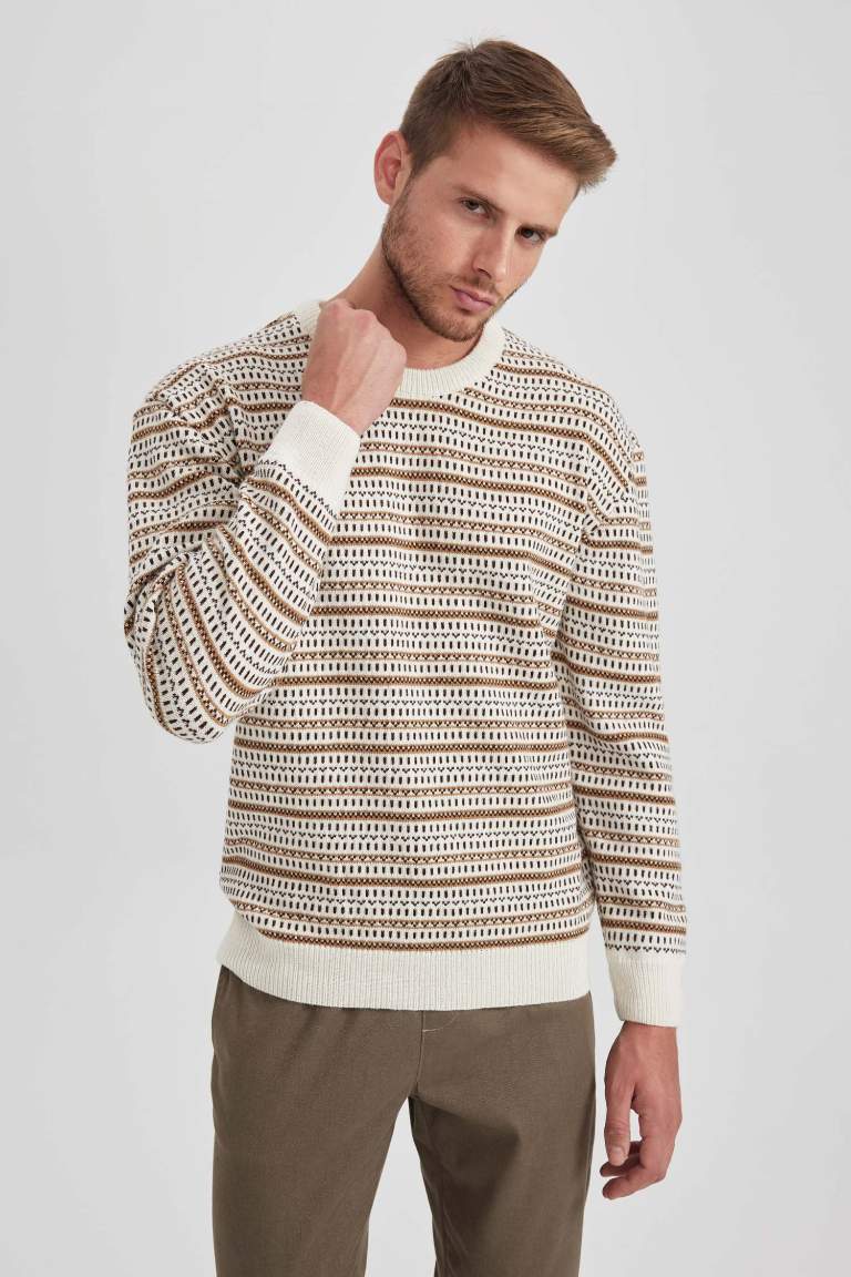 Standard Fit Patterned Crew Neck Knitted Pullover