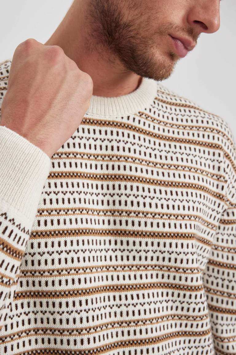 Standard Fit Patterned Crew Neck Knitted Pullover