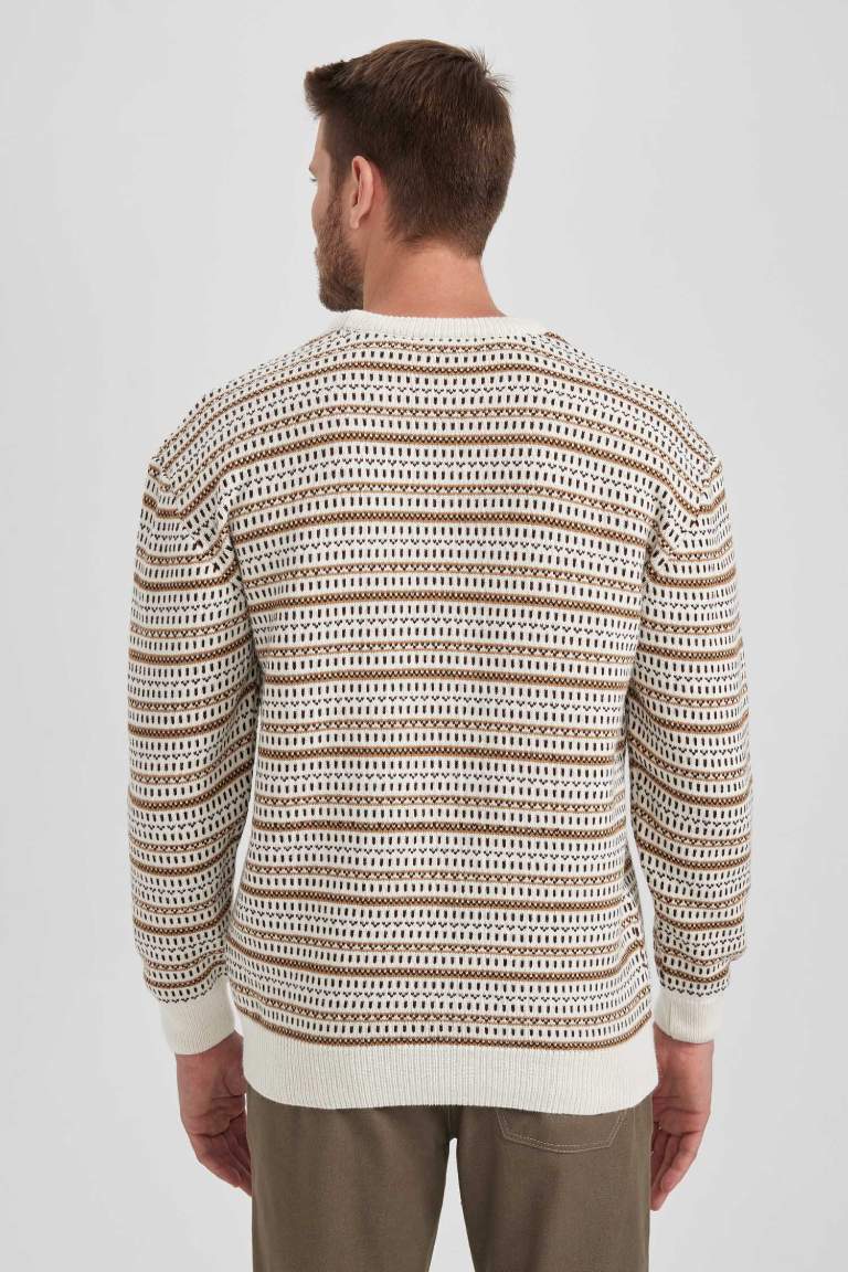 Standard Fit Patterned Crew Neck Knitted Pullover