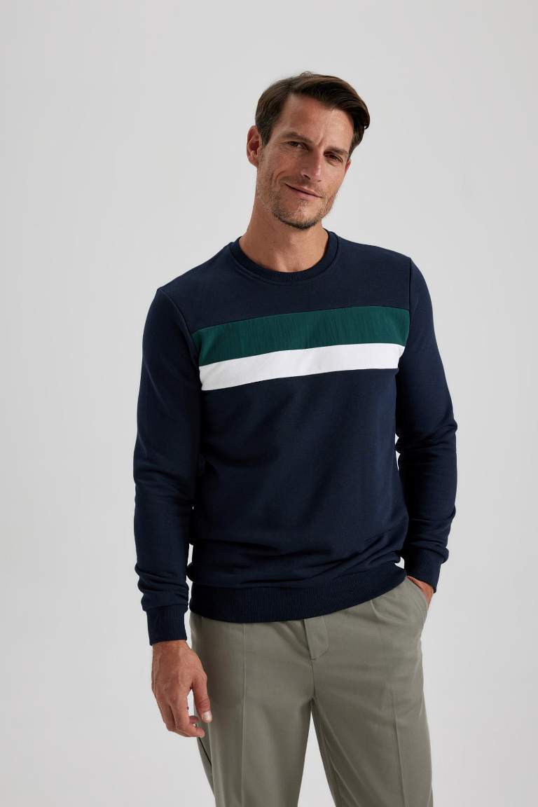 Regular Fit Color Block Crew Neck Basic Sweatshirt