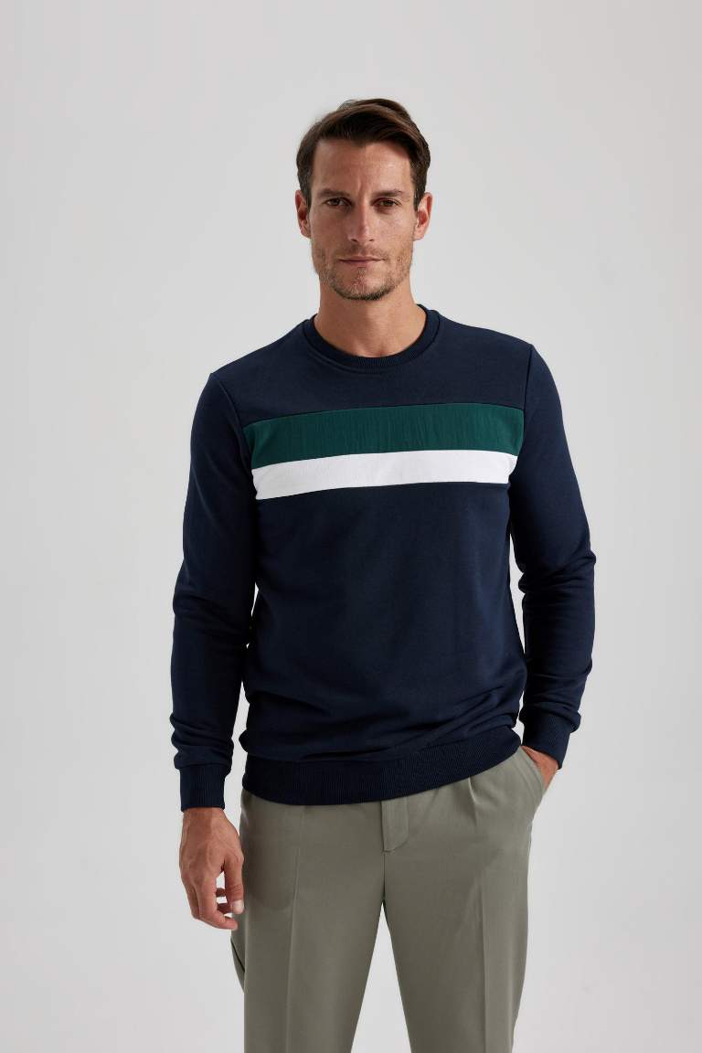 Regular Fit Color Block Crew Neck Basic Sweatshirt