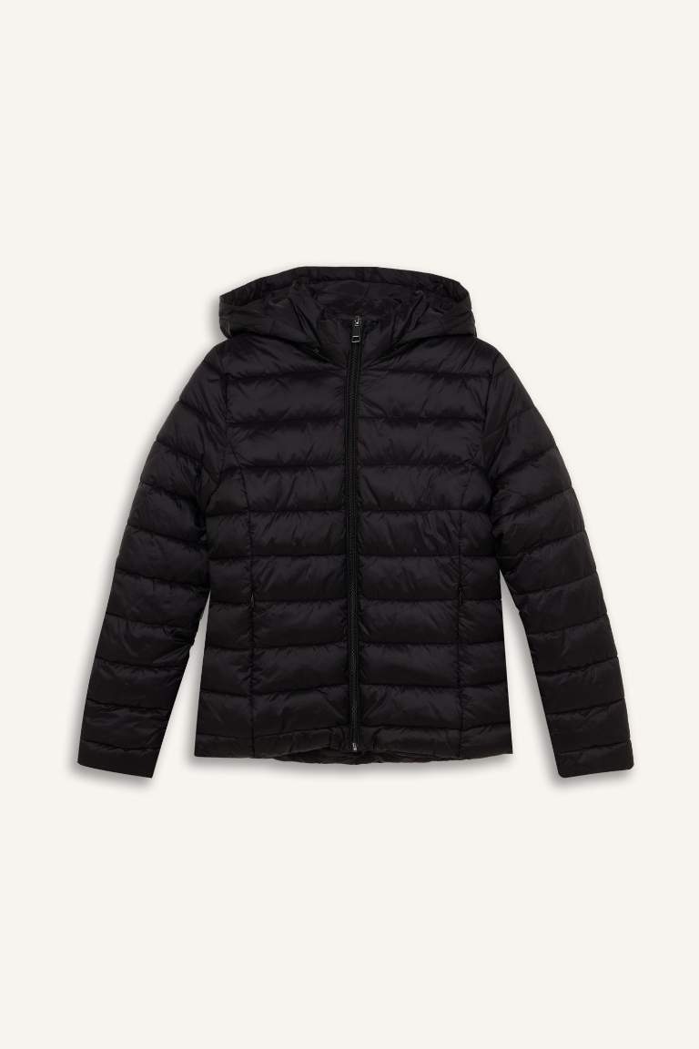 Hooded Quilted Zippered Pocket Basic Waterproof Puffer Jacket