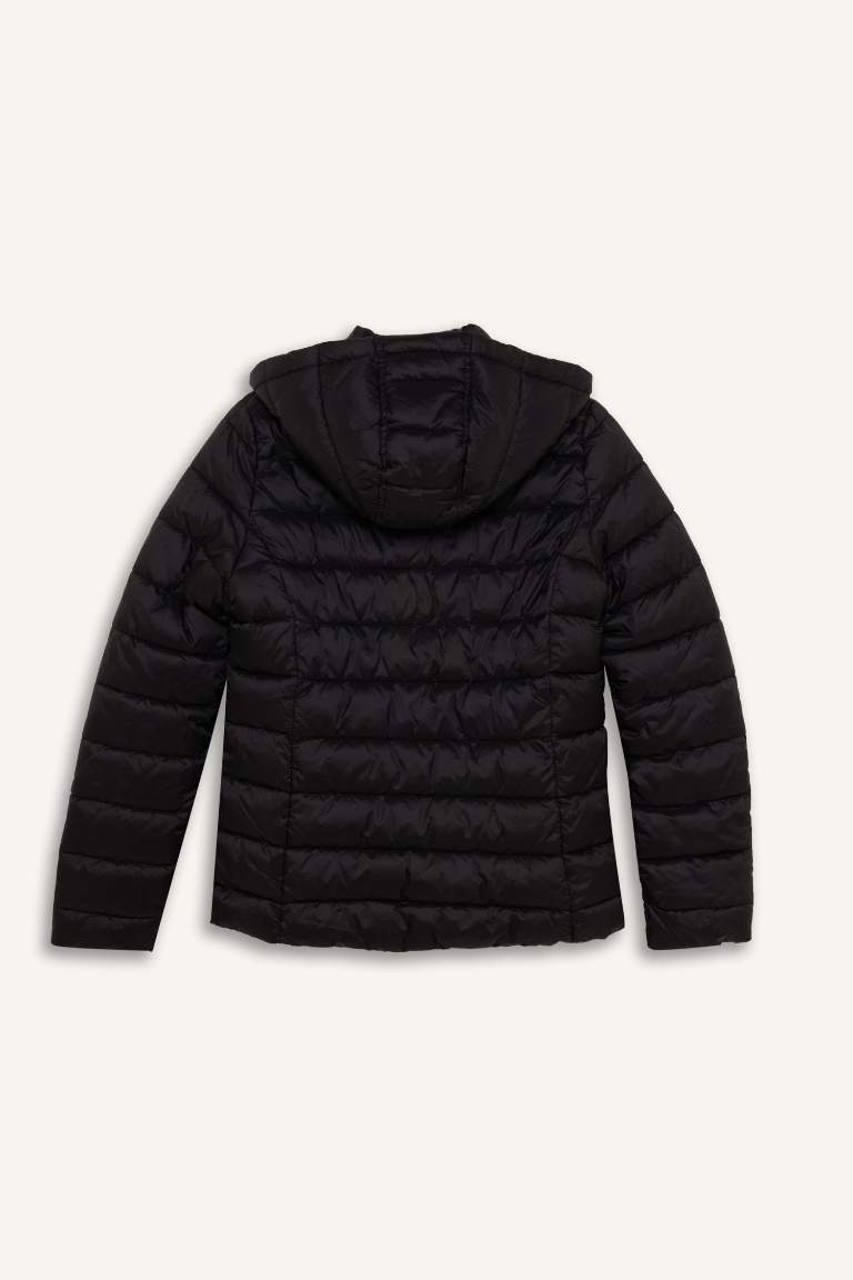 Hooded Quilted Zippered Pocket Basic Waterproof Puffer Jacket